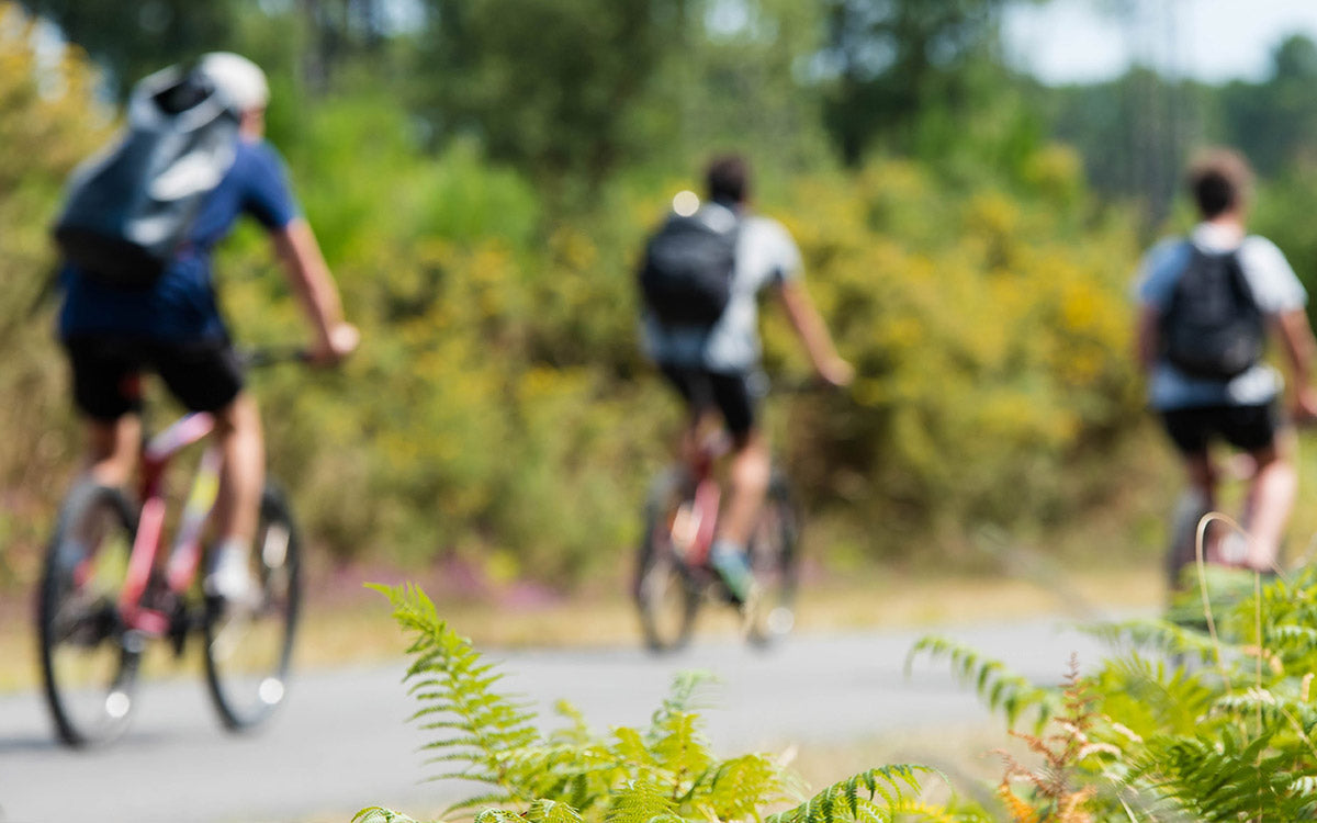 Itinerari in bici in Lombardia: una guida da non perdere