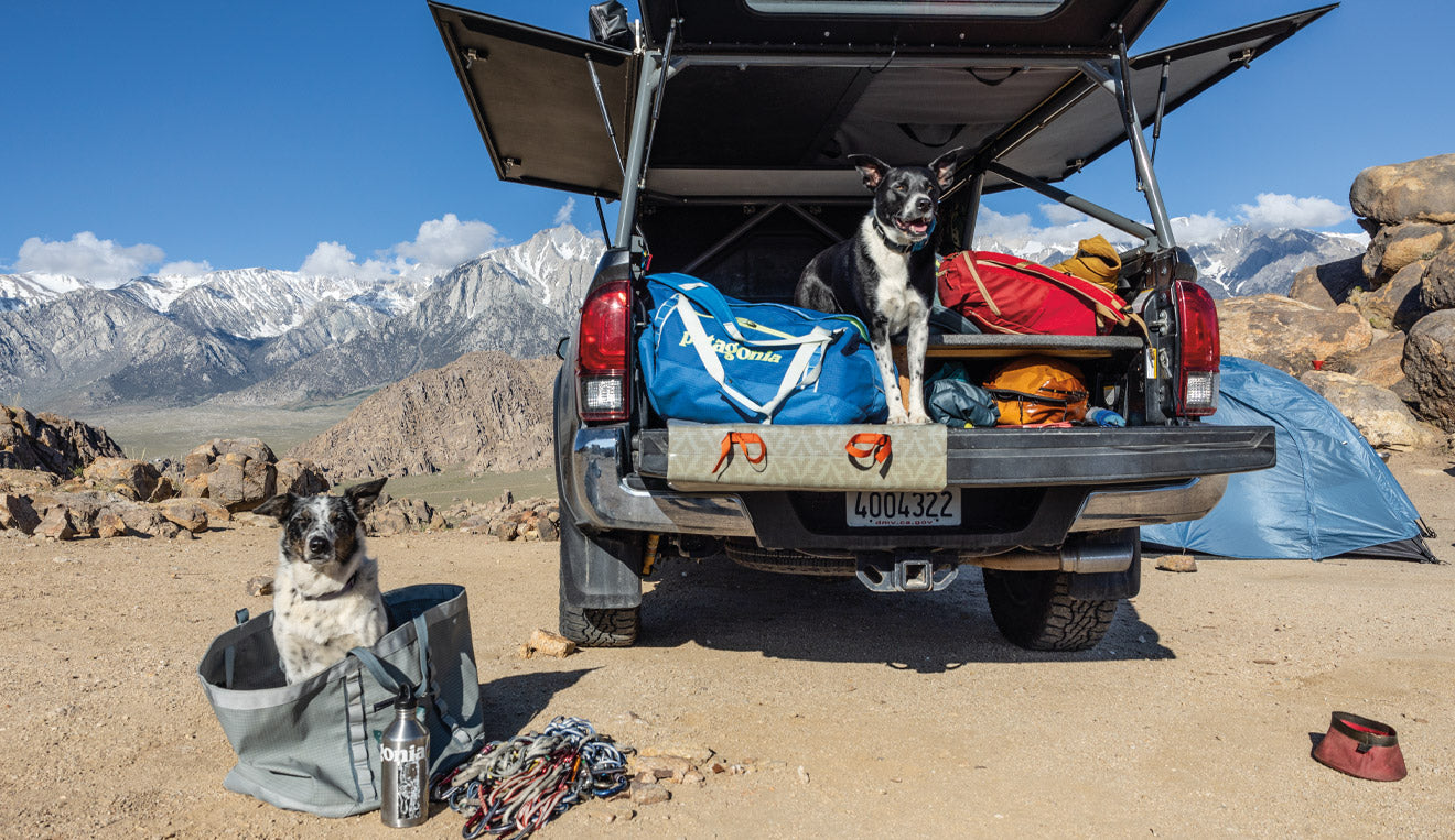 Patagonia: Black Hole®