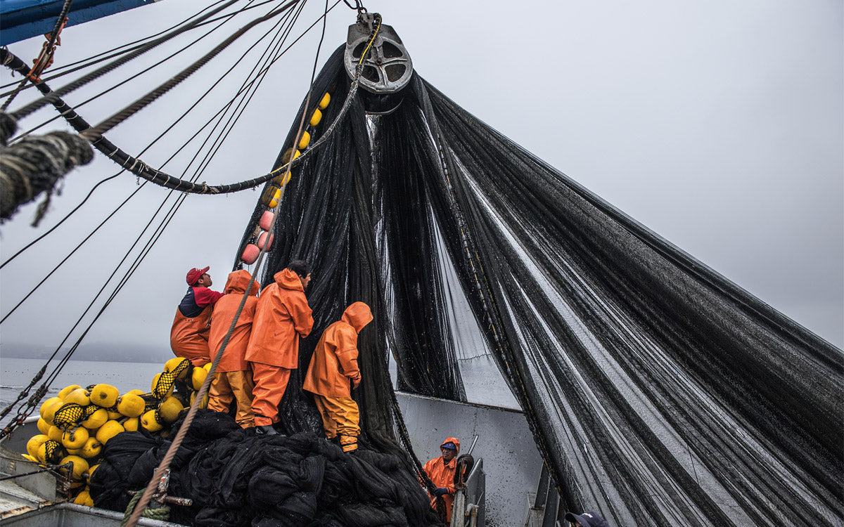 Patagonia Nylon NetPlus®: quando il riciclo incontra la performance