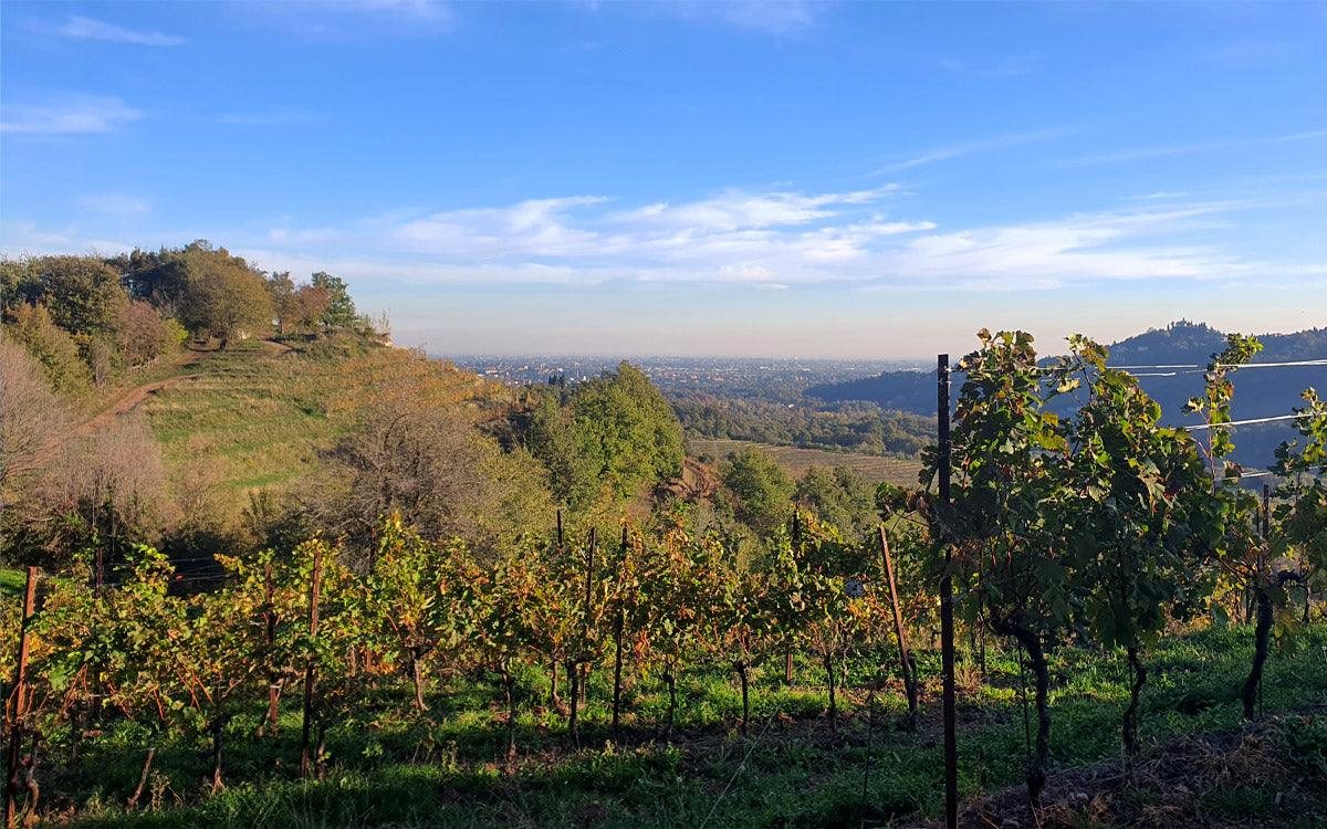 Percorso sui sentieri del Parco del Curone
