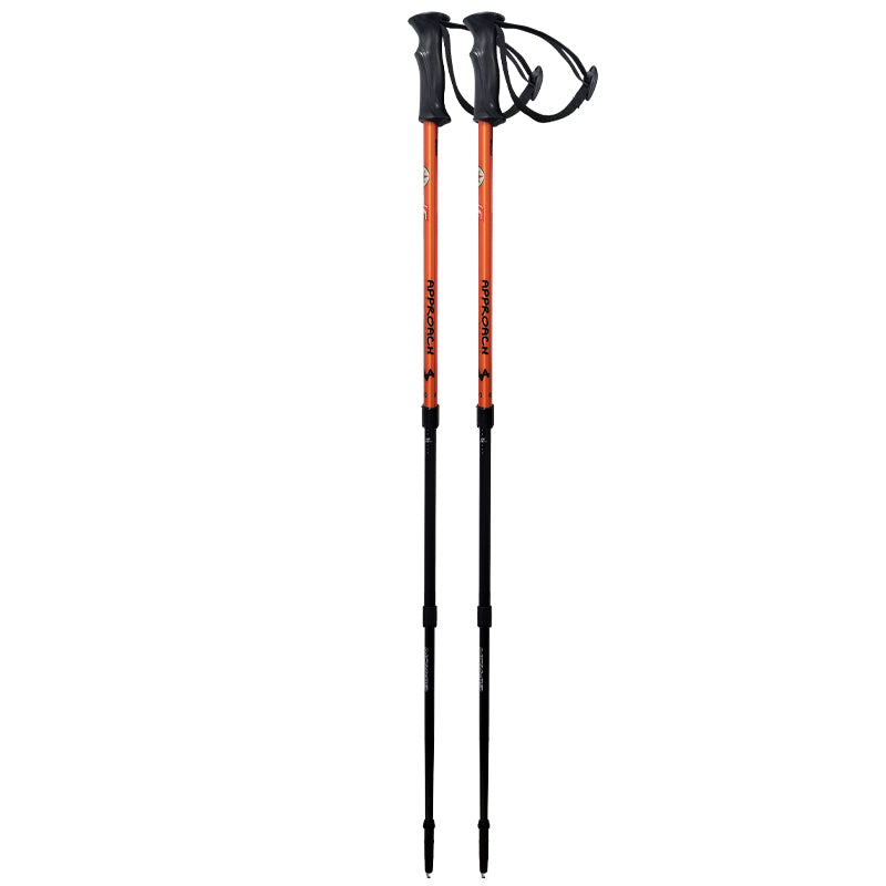 Bastoncini 738 1D