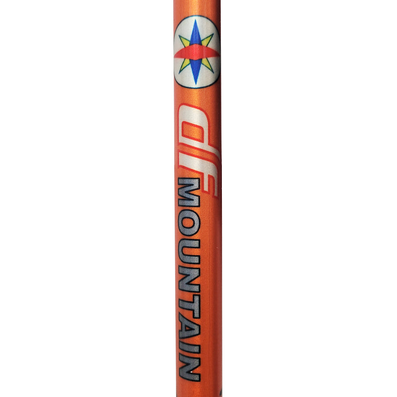 Bastoncini 738 1D