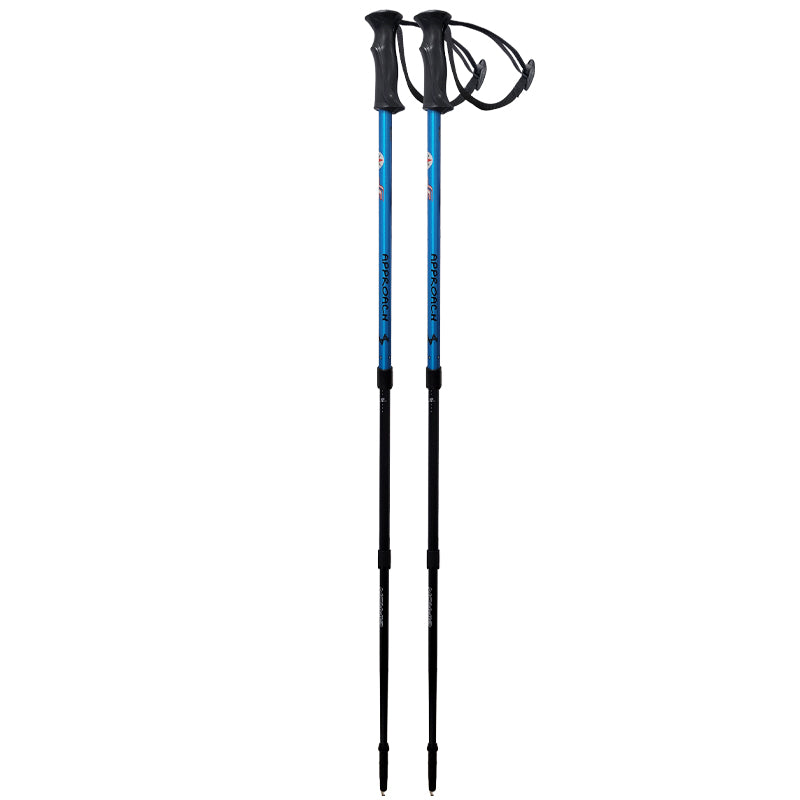 Bastoncini 738 1D