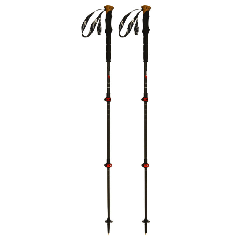 Bastoncini Carbon