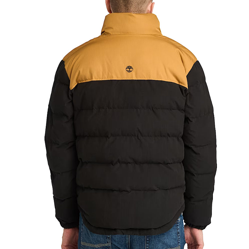 Piumino uomo Mountain Welch