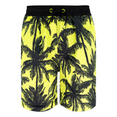 Boxer bambino Palme