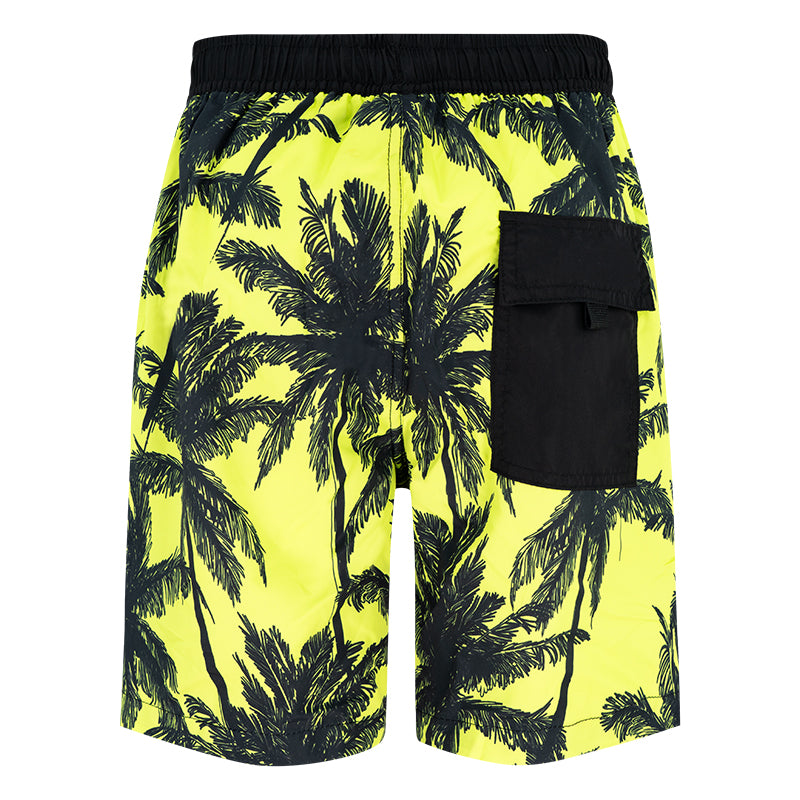 Boxer bambino Palme