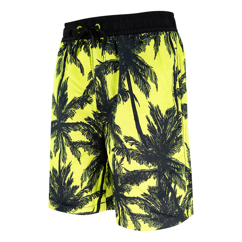 Boxer bambino Palme