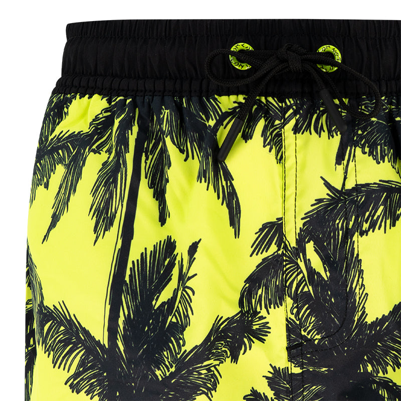 Boxer bambino Palme
