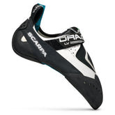 Scarpette uomo Drago LV