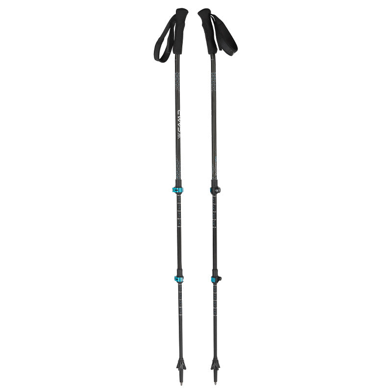 Bastoncini Backcountry Ergo