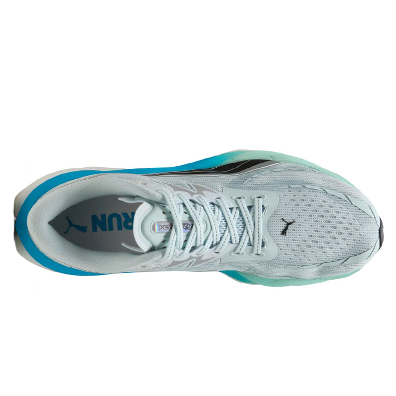 Scarpe uomo Velocity Nitro 4