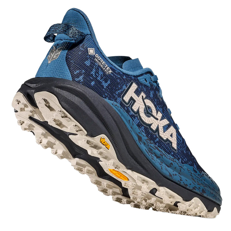 Scarpe uomo Speedgoat 6 GTX