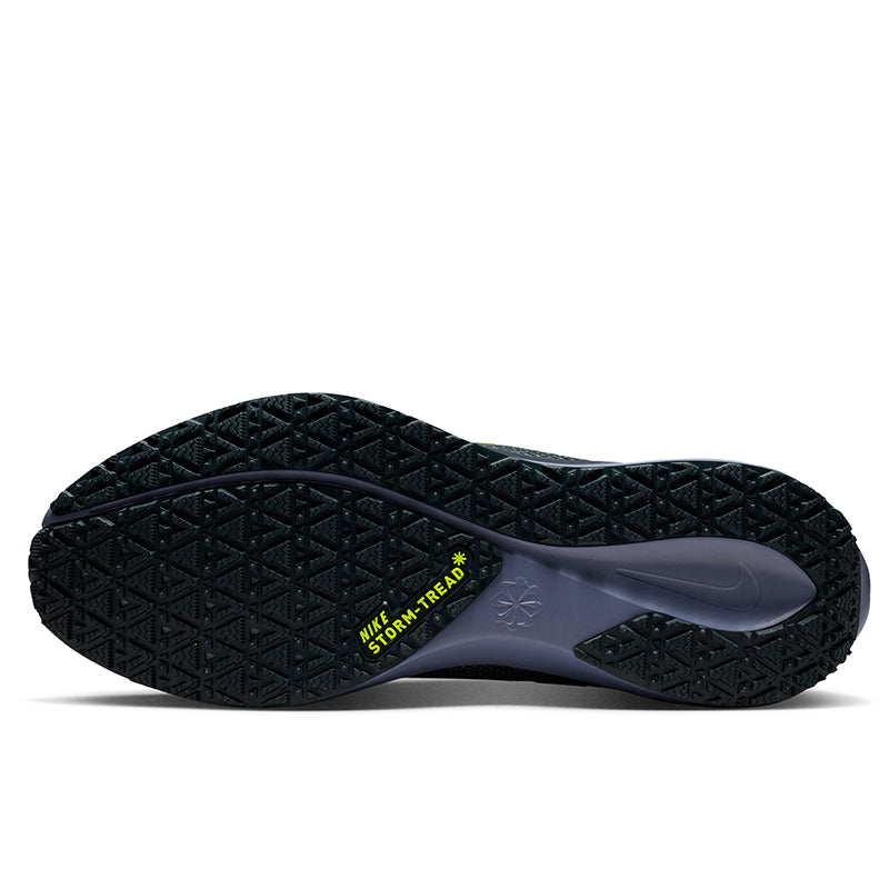 Scarpe uomo Pegasus 41 GTX