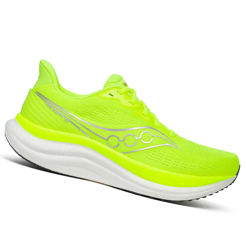 Scarpe uomo Triumph 23