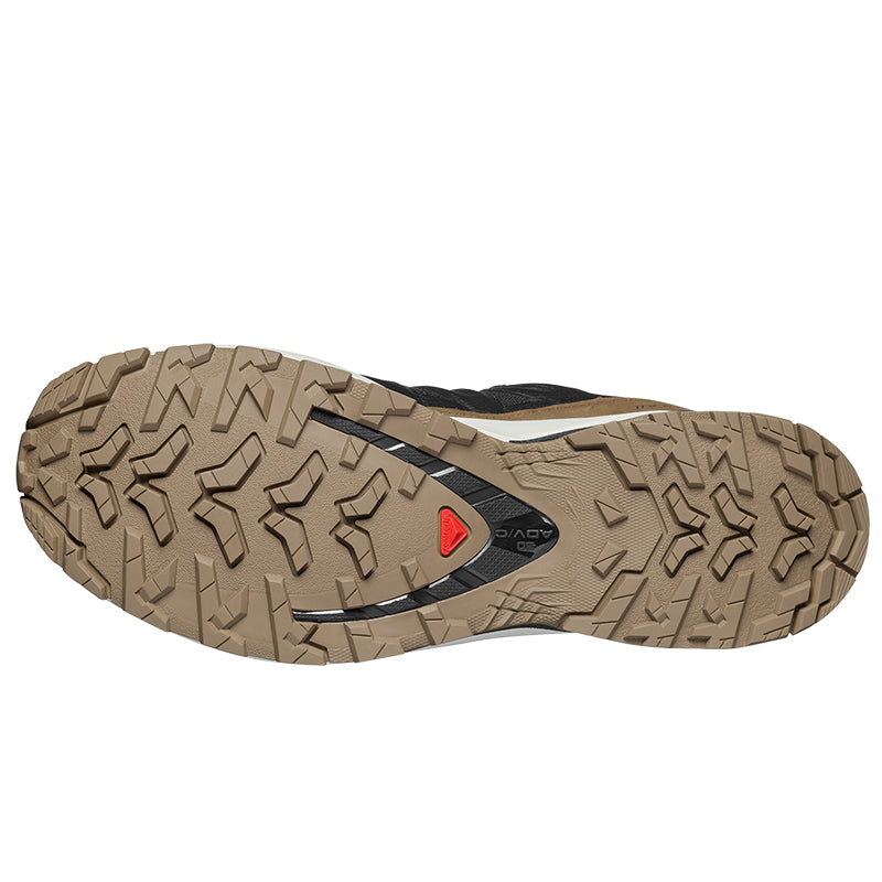 Scarpe uomo XA Pro 3D V9 GTX Lifelong