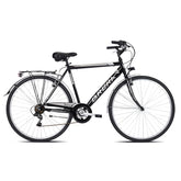 City Bike uomo Trendy