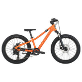 Bici bambino Roxter 200