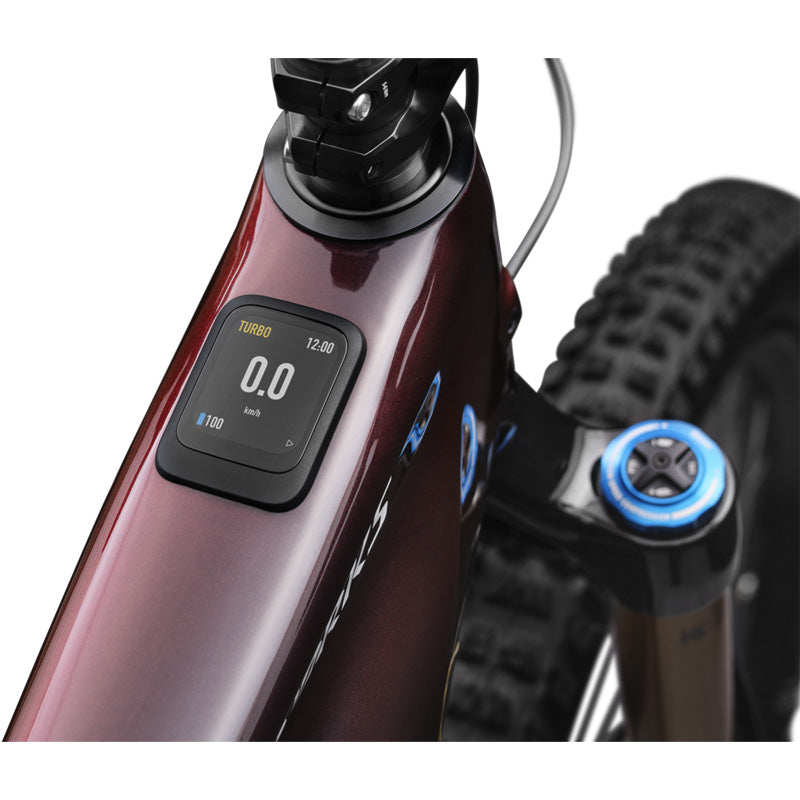 E-Bike S-Works Turbo Levo 4