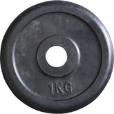 Disco Ghisa Gommata 1kg