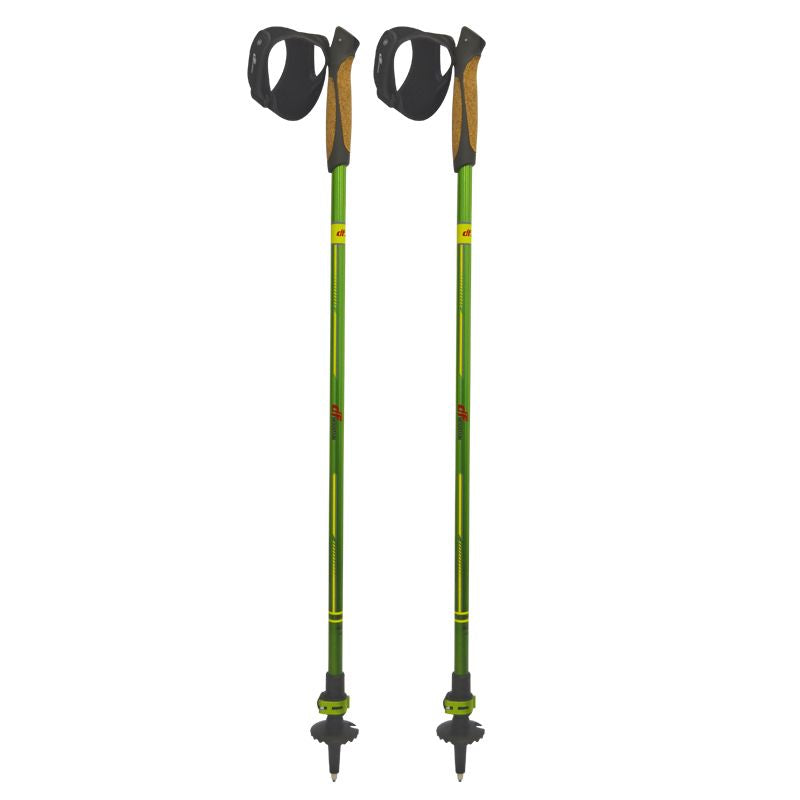 Bastoncini Nordic Walking Pro