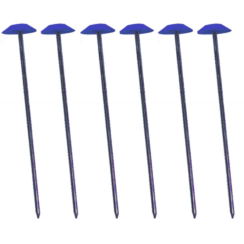 PICCHETTI CON RANELLA 20CM 6PZ