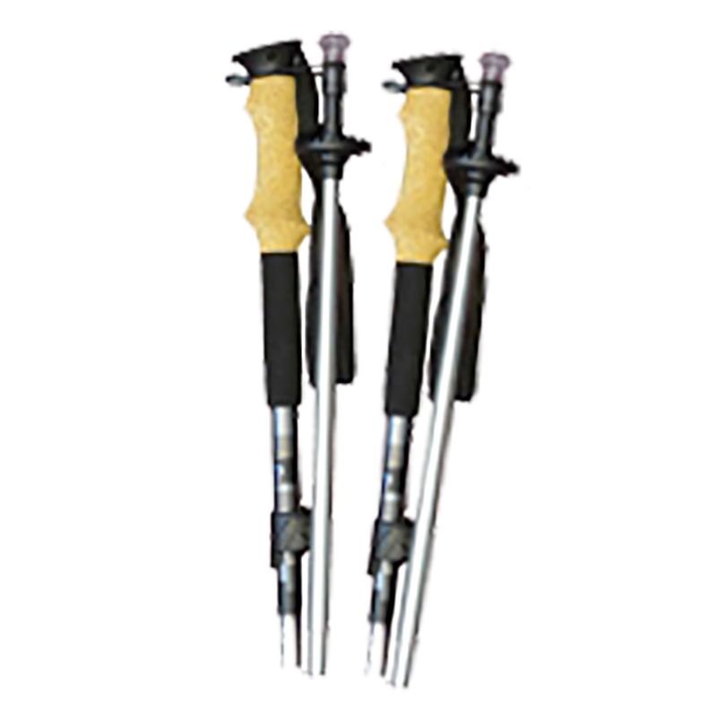 Bastoncini Aiguille CAI