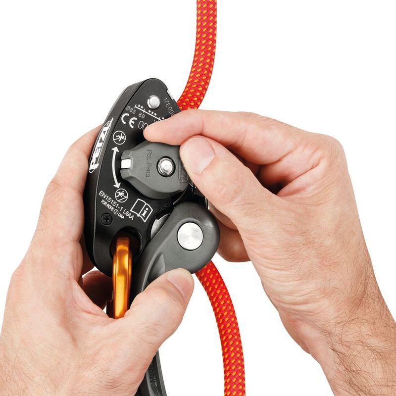 ASSICURATORE GRIGRI+ VI VIOLA