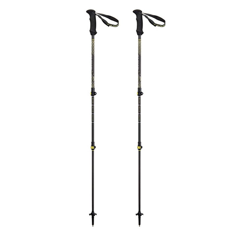 Bastoncini Backcountry Carbon 2.0