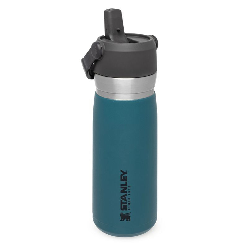 Compact Water Bottle Pouch Pocket Stanley Tumbler Portable - Temu