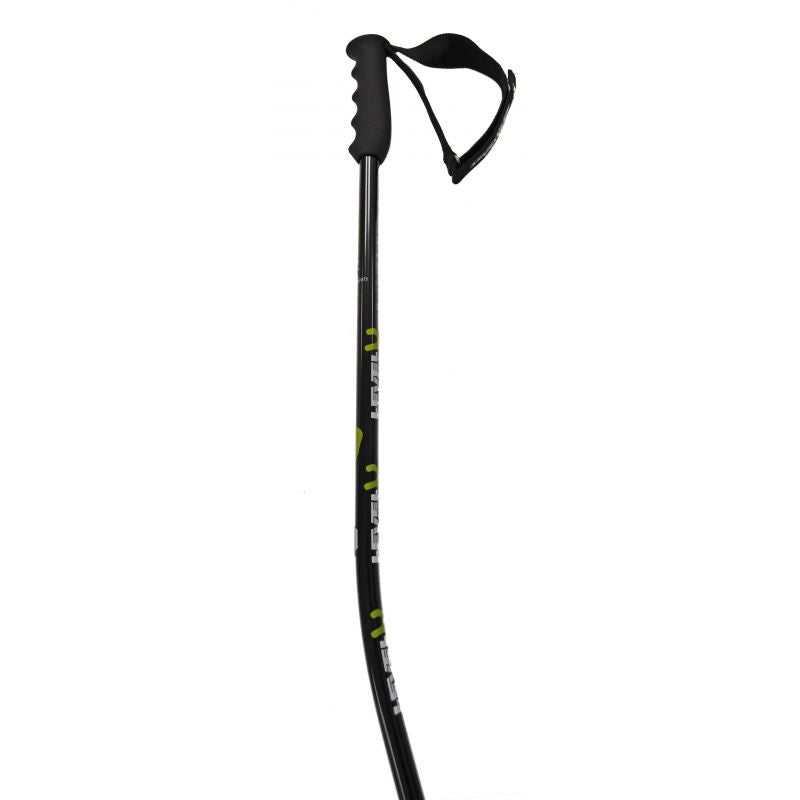 Bastoncini Sci Wc Super G