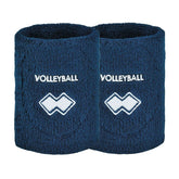 POLSINI/GOMITIERE VOLLEY RICK