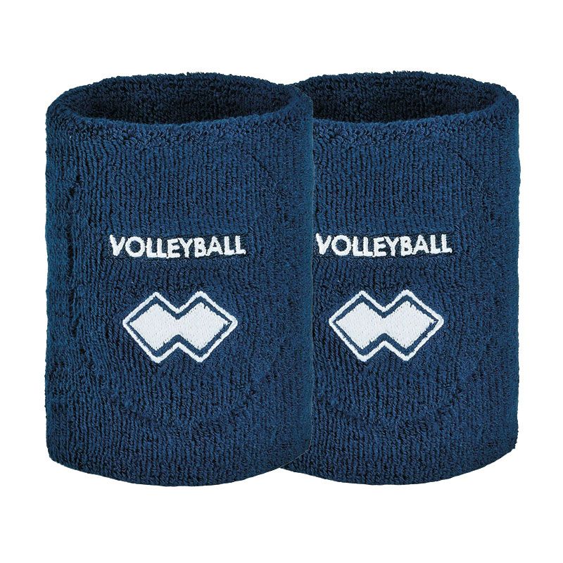 POLSINI/GOMITIERE VOLLEY RICK