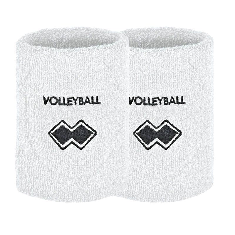 Polsini Volley Rick