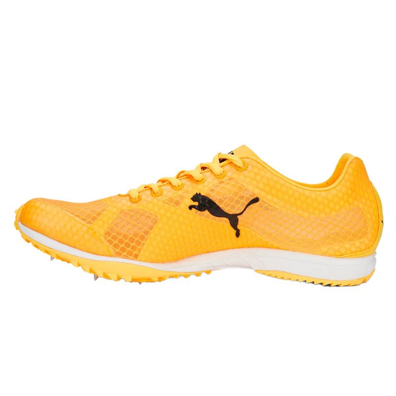 SCARPE UOMO EVOSPEED HARAKA 7