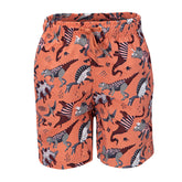 Boxer bambino little dinosauri