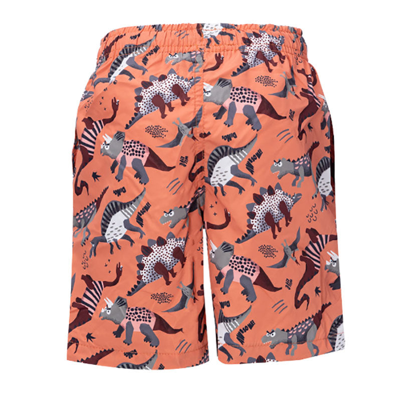 Boxer bambino little dinosauri