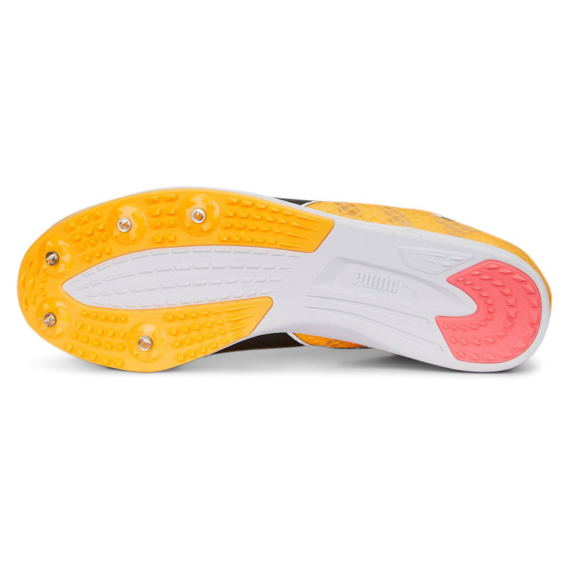 Scarpe EvoSpeed Distance 11