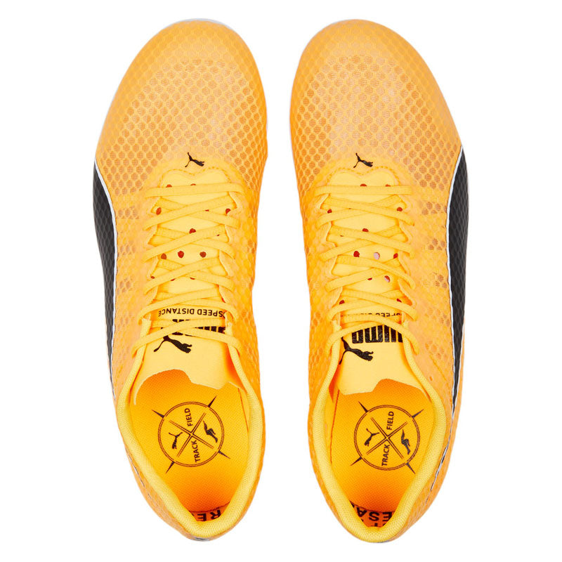 Scarpe EvoSpeed Distance 11