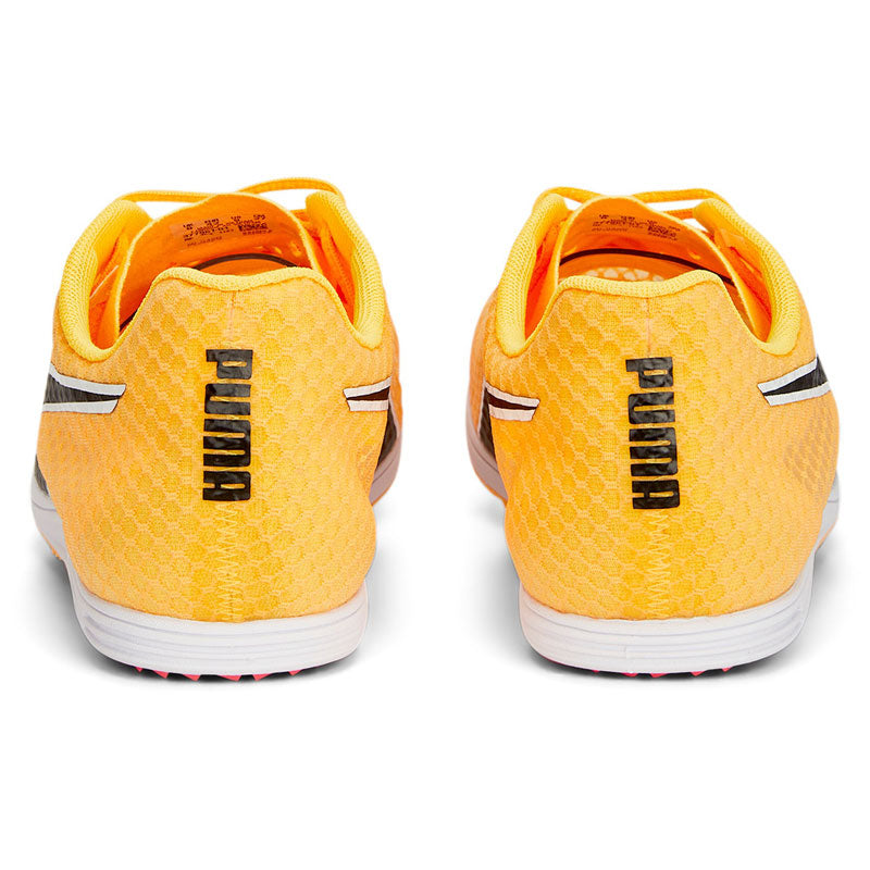 Scarpe EvoSpeed Distance 11