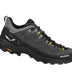 Scarpe uomo Alp Trainer 2 GTX