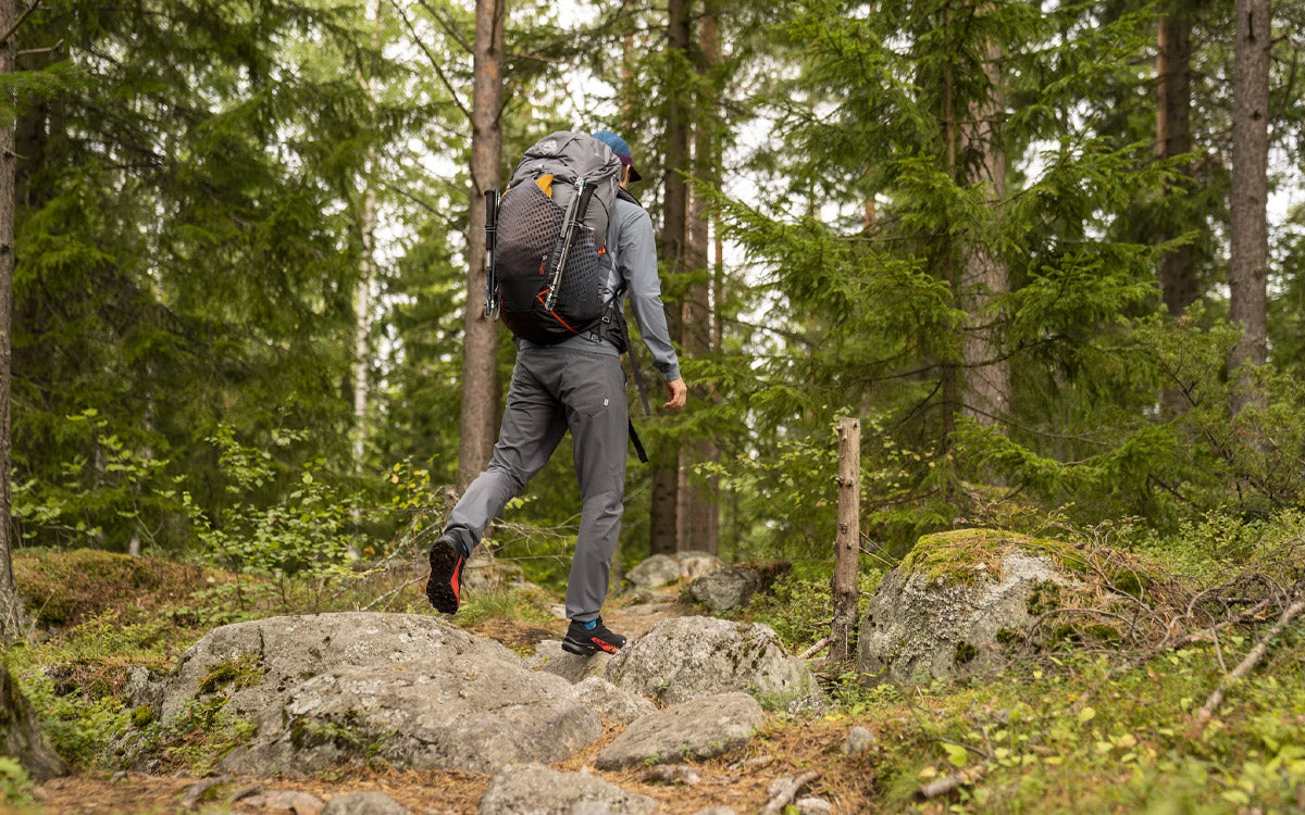 Trekking e hiking: desiderio di riconnettersi con la natura