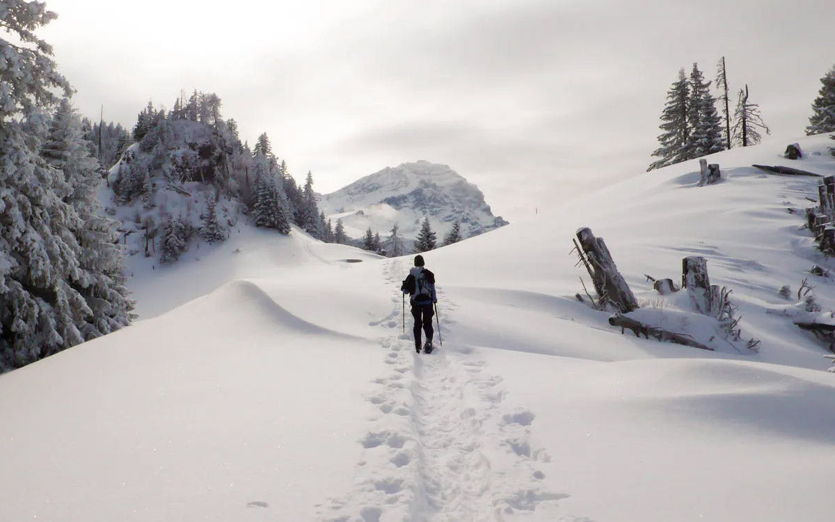 Camminare con le ciaspole è uno dei modi più belli per trascorre del tempo in montagna