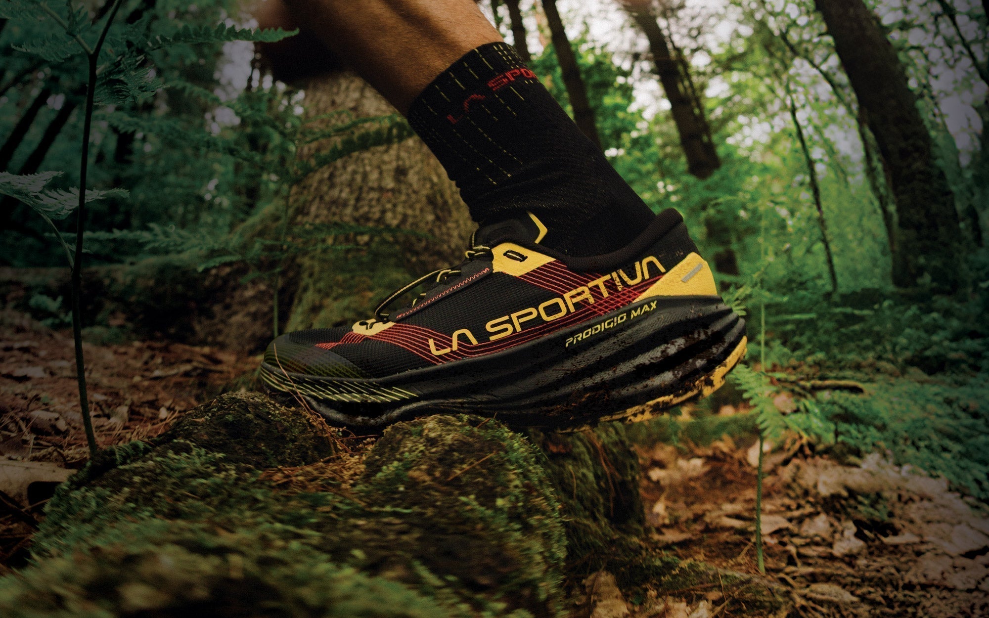 Test trail running La Sportiva - Prodigio Max