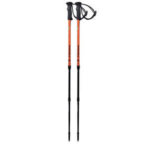 Bastoncini 738 1D