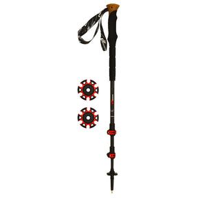Bastoncini Carbon