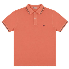 Polo uomo Terra