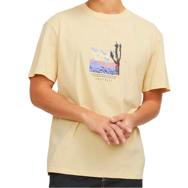 T-Shirt uomo Graphic