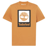 T-shirt uomo Square Stack Logo