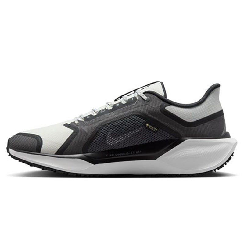 Scarpe uomo Pegasus 41 GTX